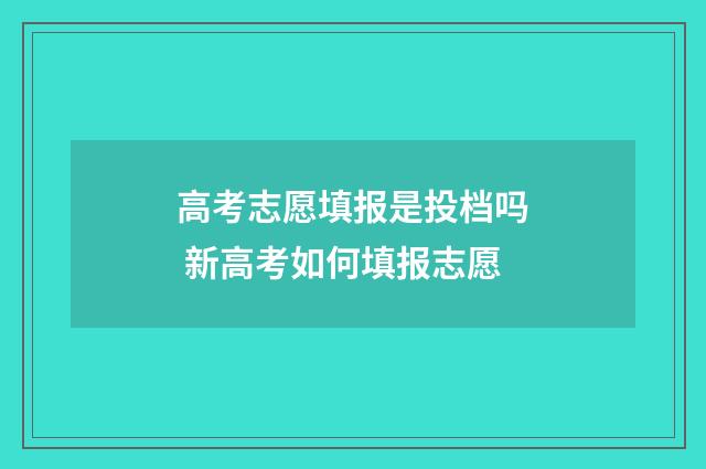 高考志愿填报是投档吗 新高考如何填报志愿