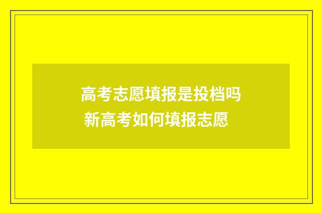 高考志愿填报是投档吗 新高考如何填报志愿