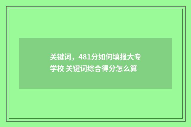 关键词，481分如何填报大专学校 关键词综合得分怎么算