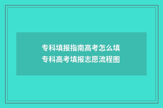 专科填报指南高考怎么填 专科高考填报志愿流程图