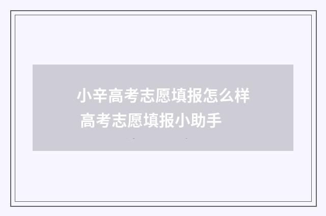 小辛高考志愿填报怎么样 高考志愿填报小助手