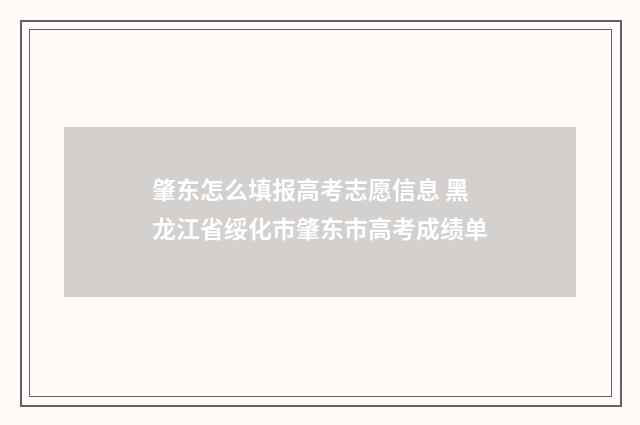 肇东怎么填报高考志愿信息 黑龙江省绥化市肇东市高考成绩单
