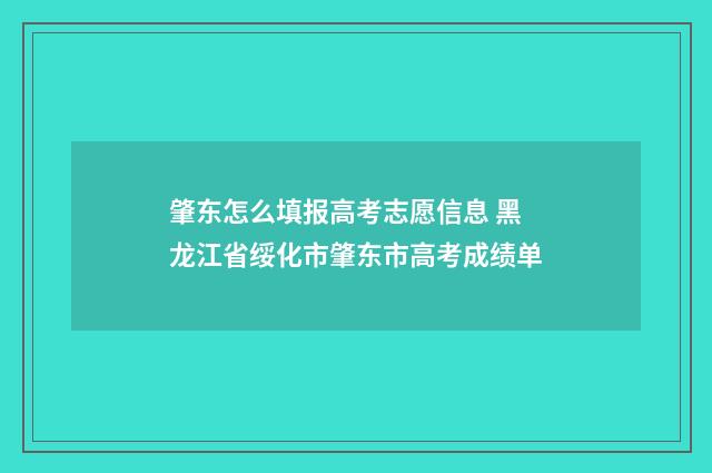 肇东怎么填报高考志愿信息 黑龙江省绥化市肇东市高考成绩单