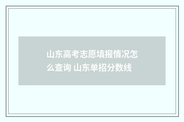 山东高考志愿填报情况怎么查询 山东单招分数线