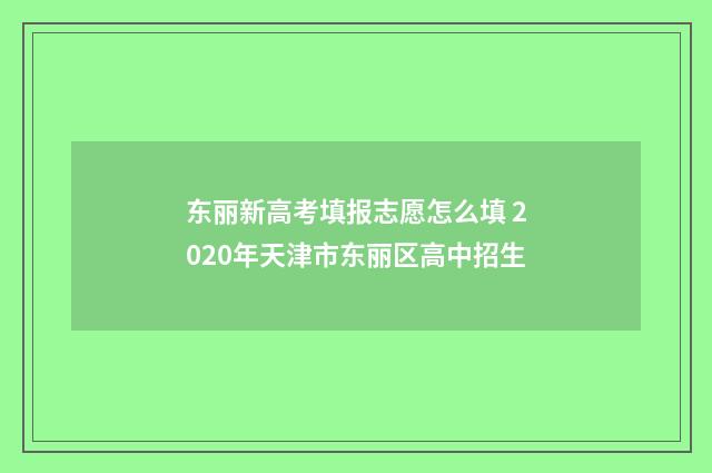 东丽新高考填报志愿怎么填 2020年天津市东丽区高中招生