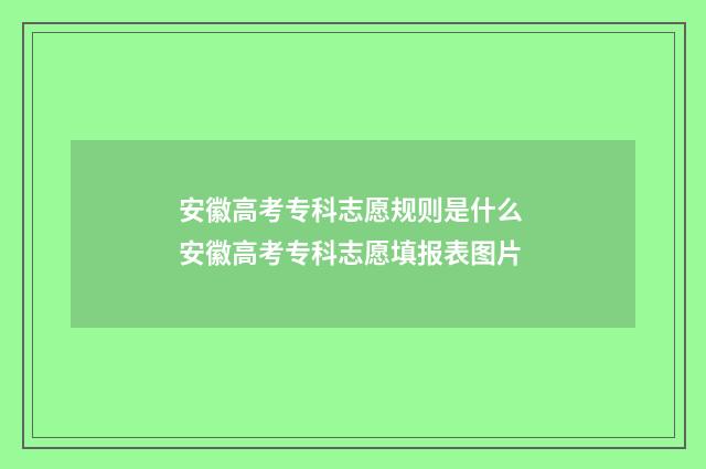 安徽高考专科志愿规则是什么 安徽高考专科志愿填报表图片