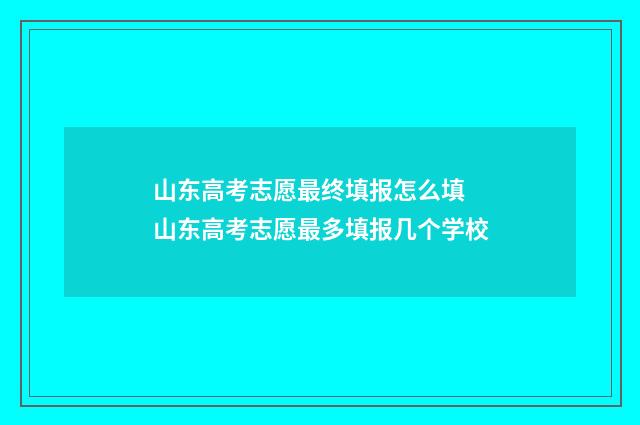 山东高考志愿最终填报怎么填 山东高考志愿最多填报几个学校