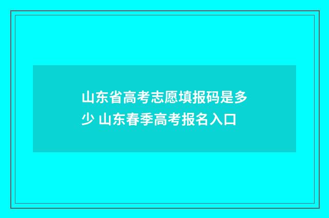 山东省高考志愿填报码是多少 山东春季高考报名入口
