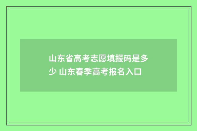 山东省高考志愿填报码是多少 山东春季高考报名入口