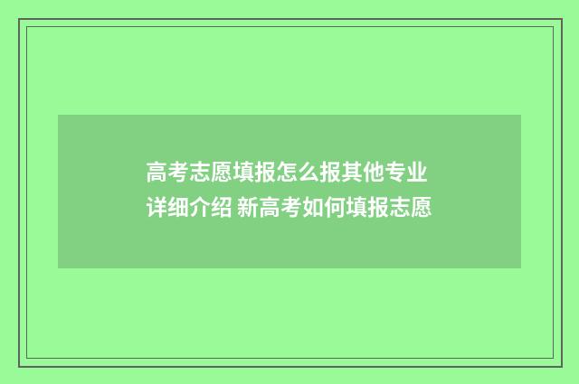 高考志愿填报怎么报其他专业 详细介绍 新高考如何填报志愿