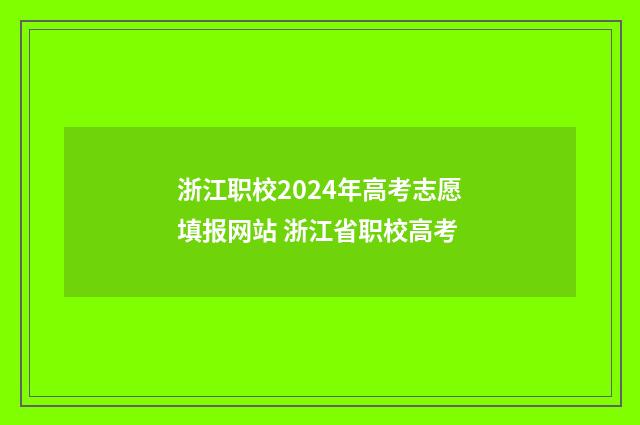 浙江职校2024年高考志愿填报网站 浙江省职校高考