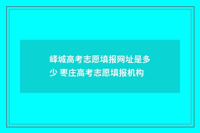 峄城高考志愿填报网址是多少 枣庄高考志愿填报机构