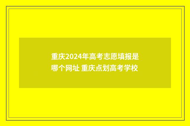 重庆2024年高考志愿填报是哪个网址 重庆点划高考学校