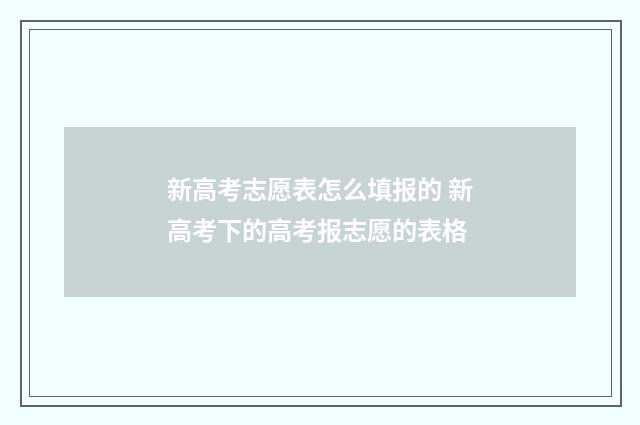 新高考志愿表怎么填报的 新高考下的高考报志愿的表格