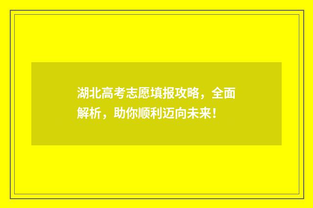 湖北高考志愿填报攻略，全面解析，助你顺利迈向未来！