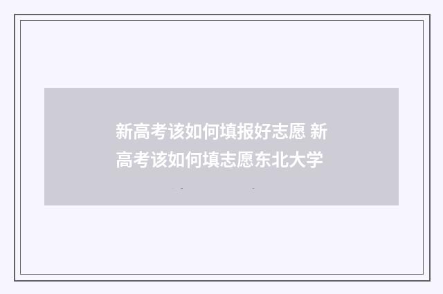 新高考该如何填报好志愿 新高考该如何填志愿东北大学
