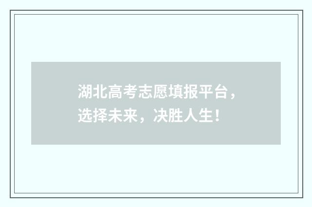 湖北高考志愿填报平台，选择未来，决胜人生！