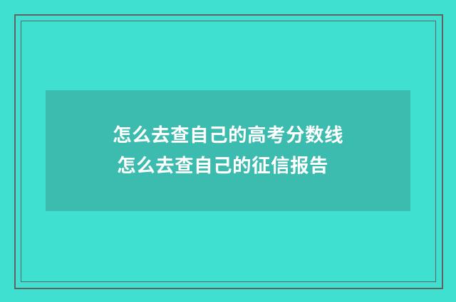 怎么去查自己的高考分数线 怎么去查自己的征信报告