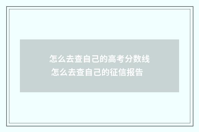 怎么去查自己的高考分数线 怎么去查自己的征信报告