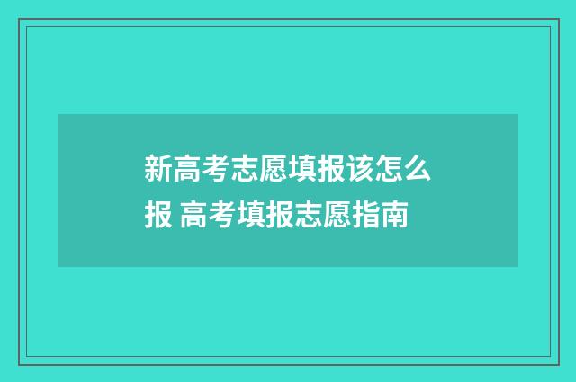 新高考志愿填报该怎么报 高考填报志愿指南
