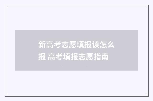 新高考志愿填报该怎么报 高考填报志愿指南