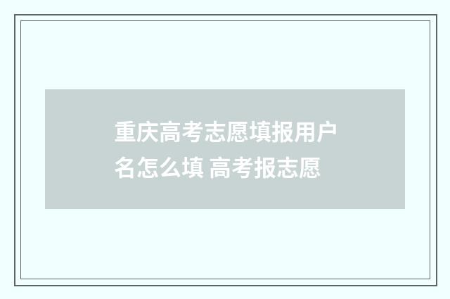 重庆高考志愿填报用户名怎么填 高考报志愿