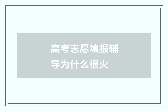 高考志愿填报辅导为什么很火