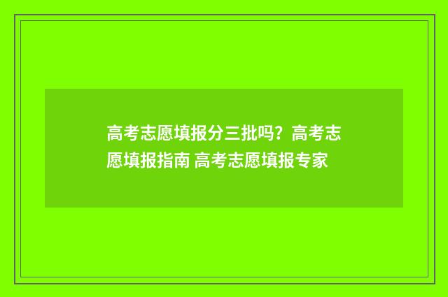 高考志愿填报分三批吗？高考志愿填报指南 高考志愿填报专家