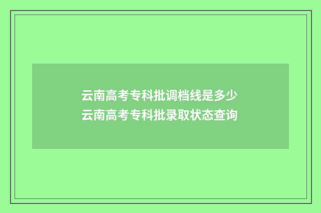 云南高考专科批调档线是多少 云南高考专科批录取状态查询