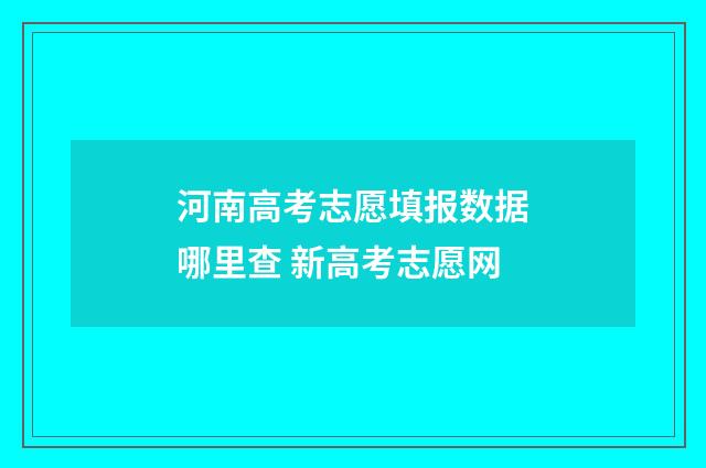 河南高考志愿填报数据哪里查 新高考志愿网
