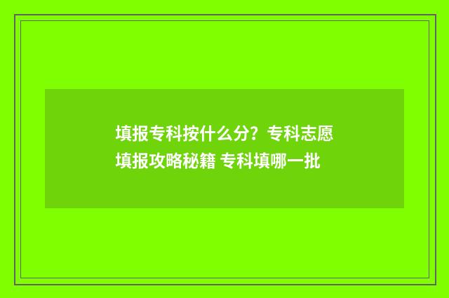 填报专科按什么分？专科志愿填报攻略秘籍 专科填哪一批
