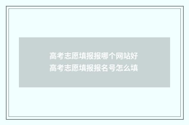 高考志愿填报报哪个网站好 高考志愿填报报名号怎么填