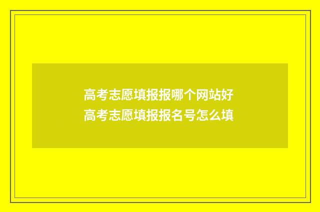 高考志愿填报报哪个网站好 高考志愿填报报名号怎么填
