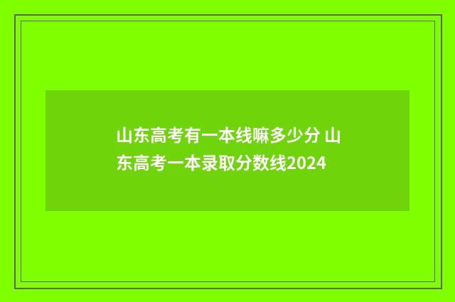 山东高考有一本线嘛多少分 山东高考一本录取分数线2024