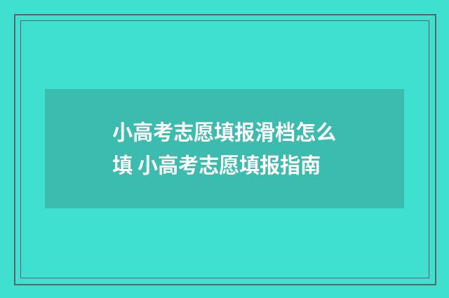 小高考志愿填报滑档怎么填 小高考志愿填报指南