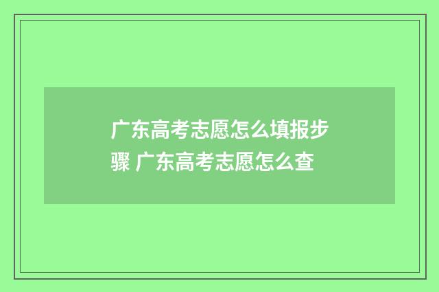 广东高考志愿怎么填报步骤 广东高考志愿怎么查