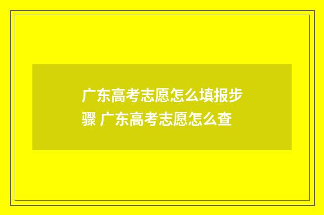 广东高考志愿怎么填报步骤 广东高考志愿怎么查