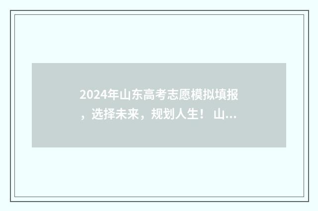 2024年山东高考志愿模拟填报，选择未来，规划人生！ 山东春季高考报名