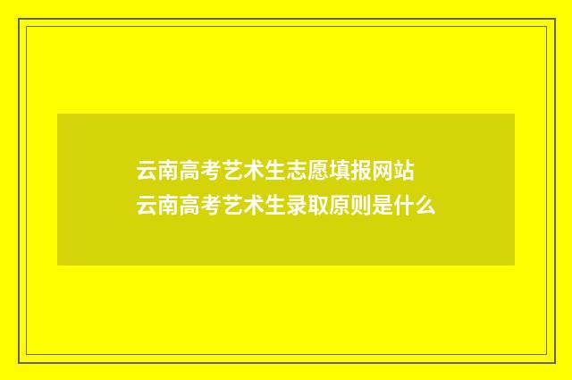 云南高考艺术生志愿填报网站 云南高考艺术生录取原则是什么
