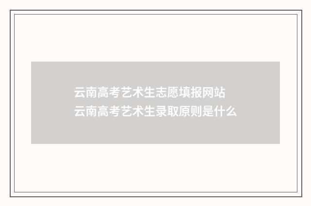 云南高考艺术生志愿填报网站 云南高考艺术生录取原则是什么