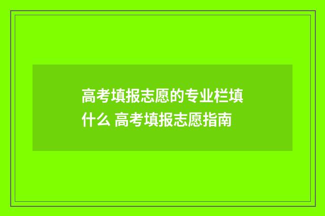 高考填报志愿的专业栏填什么 高考填报志愿指南