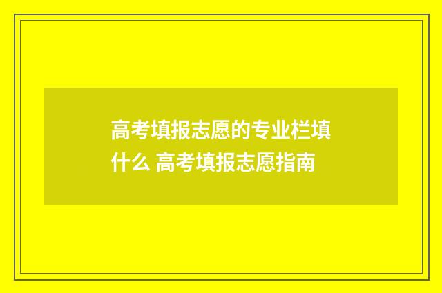 高考填报志愿的专业栏填什么 高考填报志愿指南