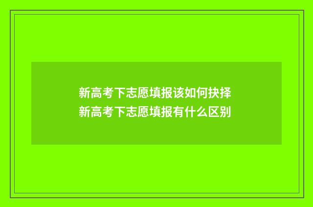 新高考下志愿填报该如何抉择 新高考下志愿填报有什么区别