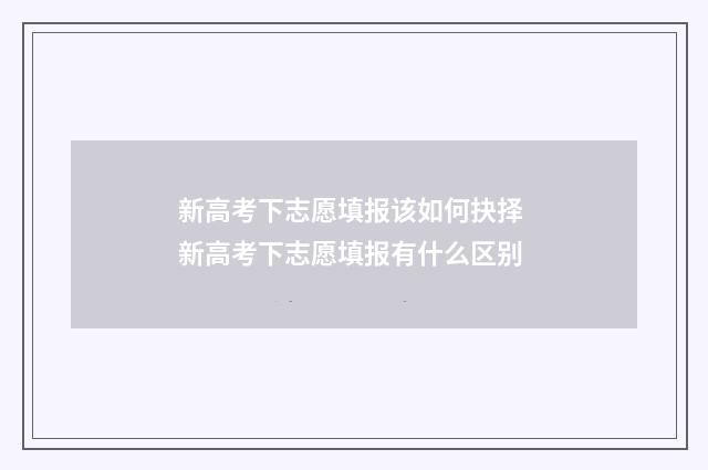 新高考下志愿填报该如何抉择 新高考下志愿填报有什么区别