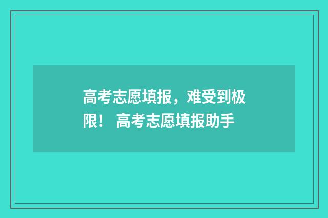 高考志愿填报，难受到极限！ 高考志愿填报助手