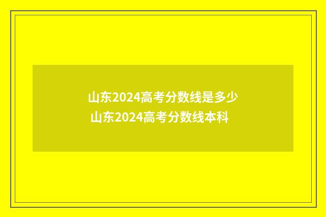 山东2024高考分数线是多少 山东2024高考分数线本科