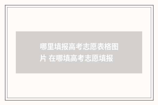 哪里填报高考志愿表格图片 在哪填高考志愿填报