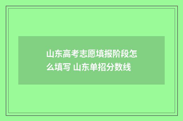 山东高考志愿填报阶段怎么填写 山东单招分数线
