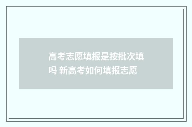 高考志愿填报是按批次填吗 新高考如何填报志愿
