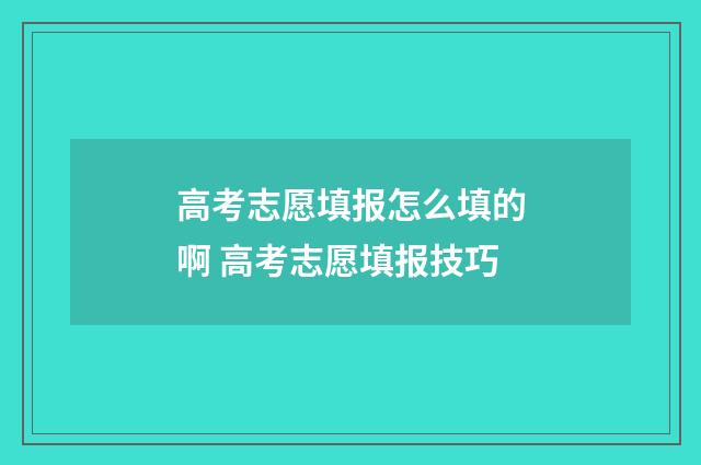 高考志愿填报怎么填的啊 高考志愿填报技巧